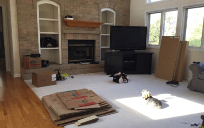 The Next Steps: What To Do After You Move