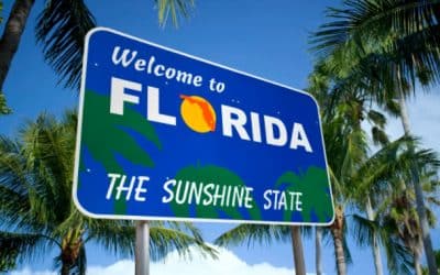 Highlighted Reviews: Florida Moves