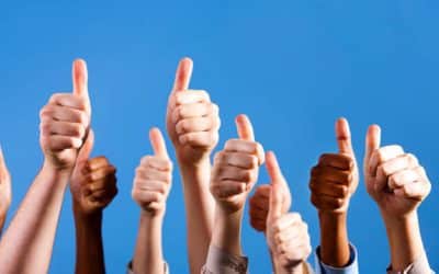 Highlighted Reviews: A Great Staff at Brothers Easy Moving of Tampa